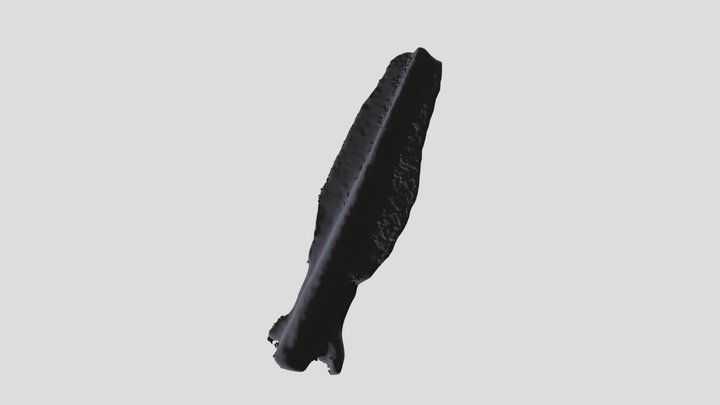 arrowhead01_tex 3D Model