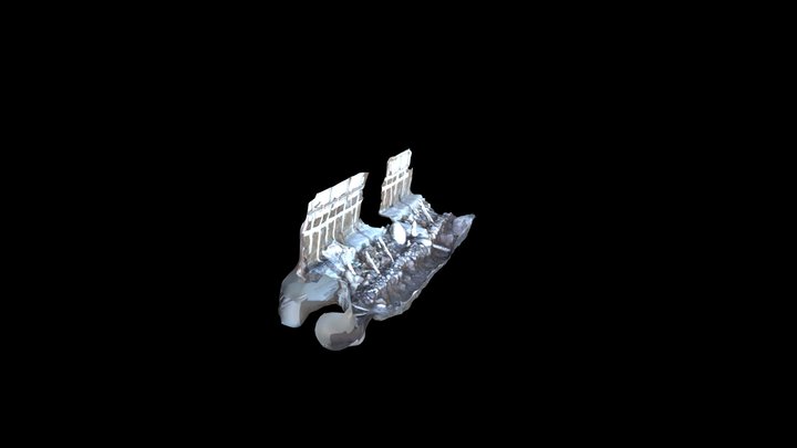 CLARA_ROJAS_COSTADO_W_CIMIENTO(111) 3D Model