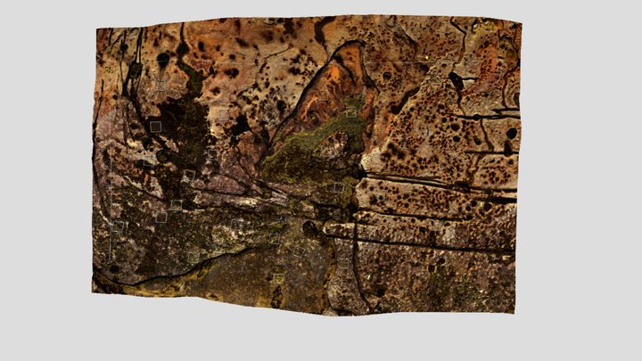 Long Bay intertidal (SY-LB01_2020.10.14) 3D Model
