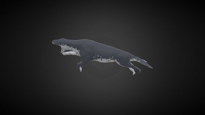 Export Voor Sketchfab 3D Model
