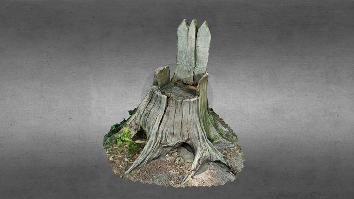 Tree Stump carved into Throne 3D Model