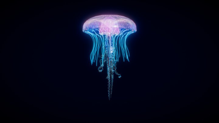 Jellyfish animated loop 3D Model