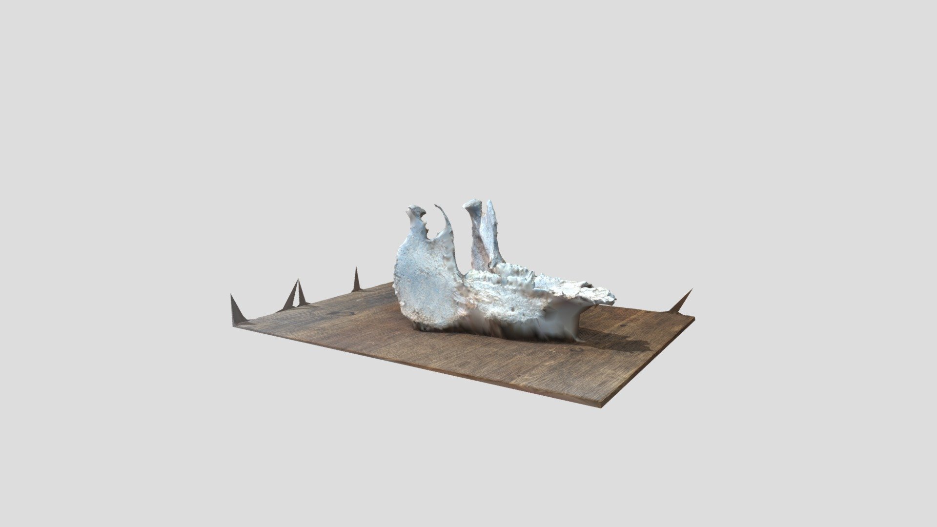 Horse Jaw r1