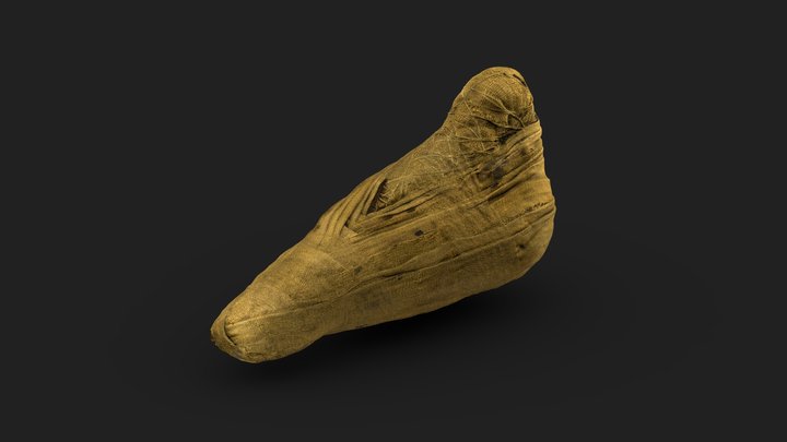 Ibis - Multiband Imaging 3D Model