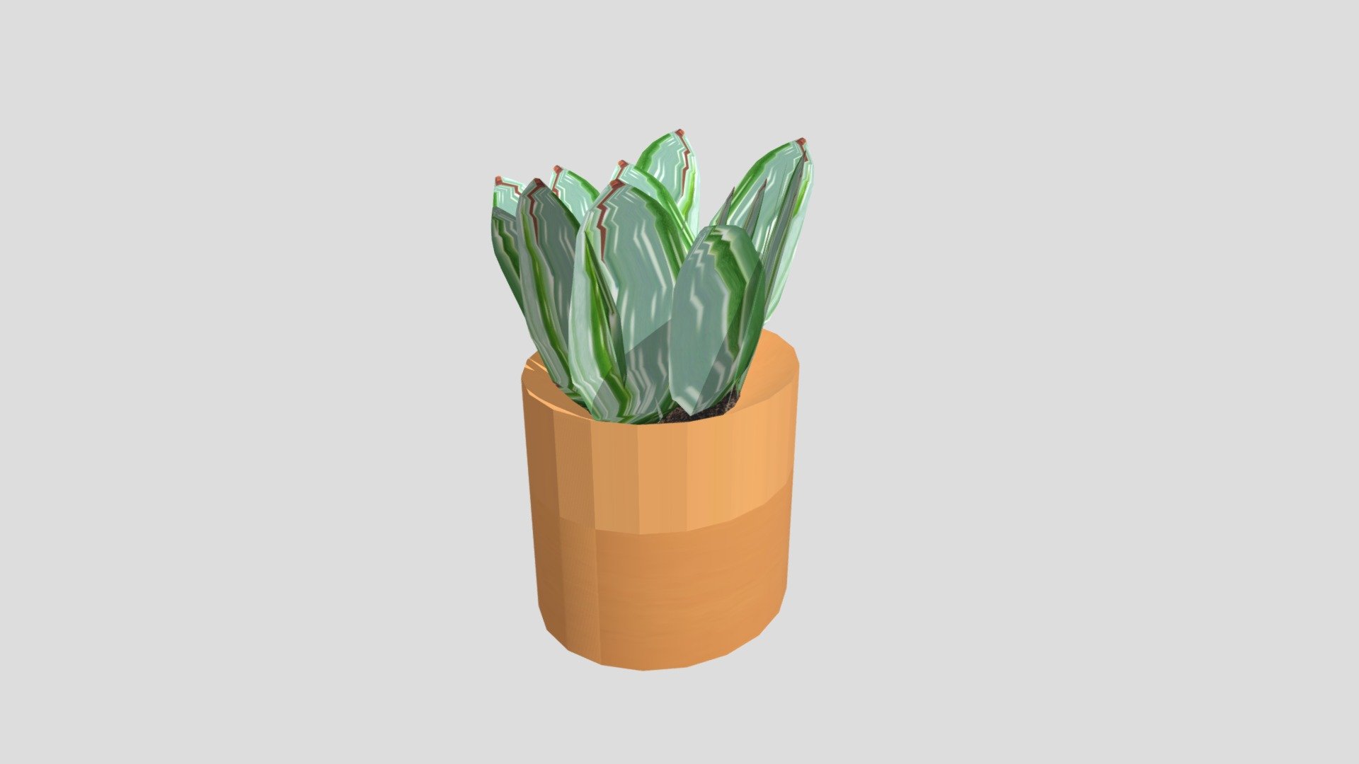 Wk8_Aloe_Vera_Plant