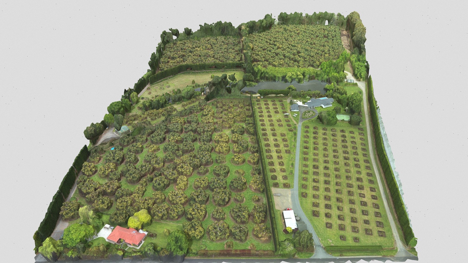 Avocado Orchard - 3D model by Digisky Ltd (@digipix) [6d07bb6] - Sketchfab