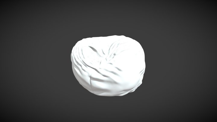 beanbag 3D Model