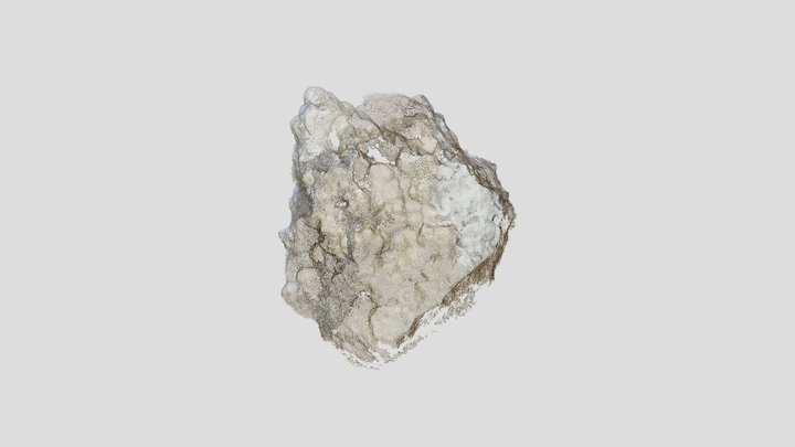 NEWRock001 3D Model