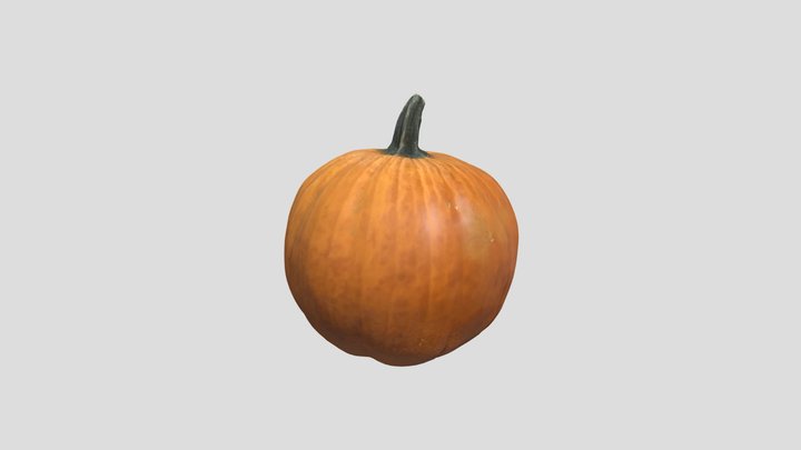 Pumpkin scan 001 3D Model