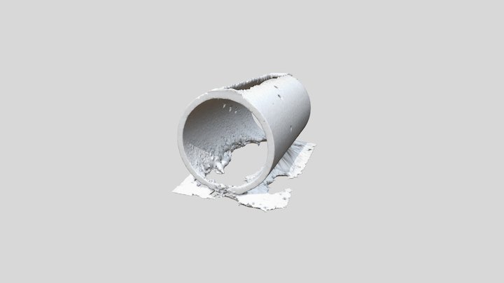 columba_rend (Photoscan) 3D Model