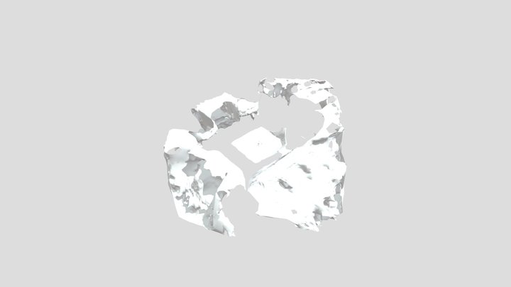 Failed mesh reconstruction with Meshroom 3D Model