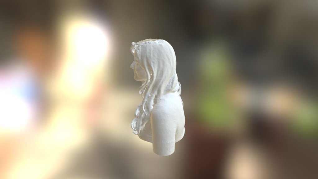 New Skanect Model - 3D model by elliotcoad [6d152fe] - Sketchfab