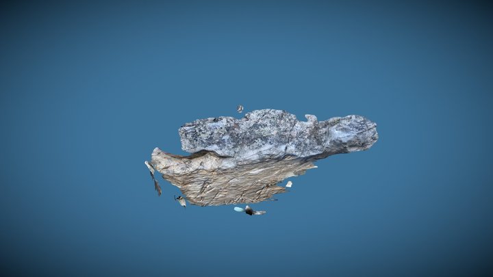 Euro Roof 3D Model