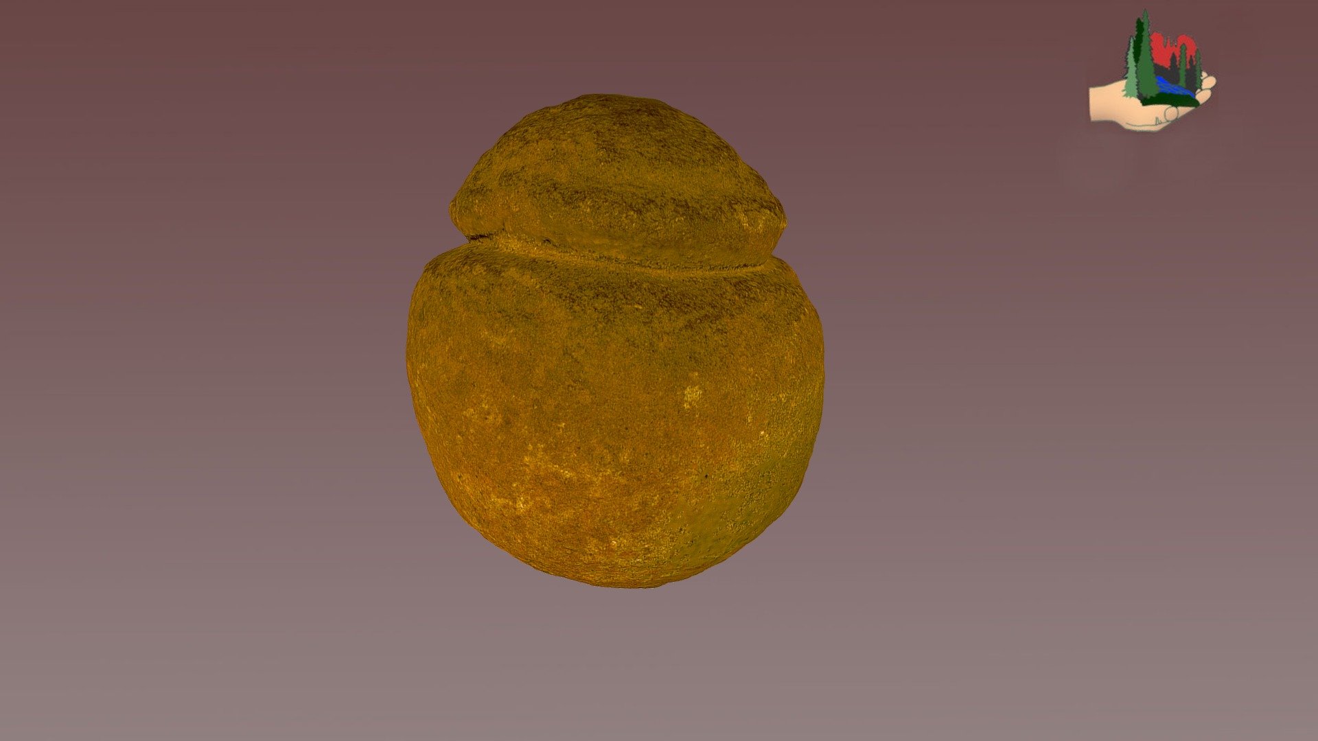 FS1197 Sinagua Artifact