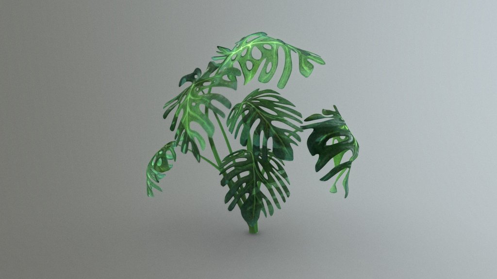 Monstera Tree