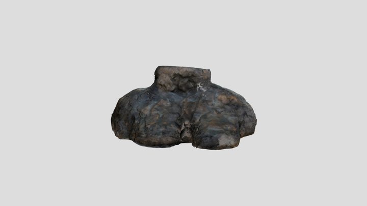 Primer modelo fotogramétrico 3D Model