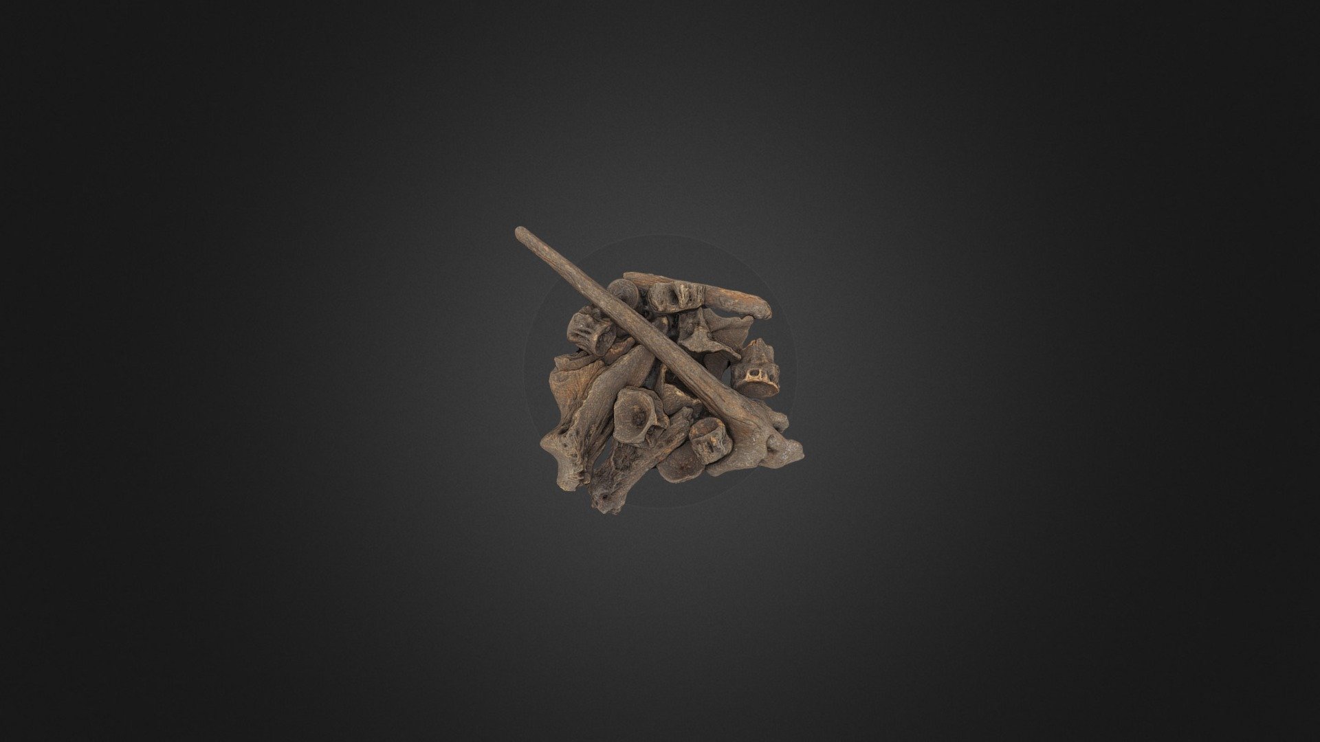 Rallye archéologique - Ossement (St2-165) — Sketchfab embed 3D viewer