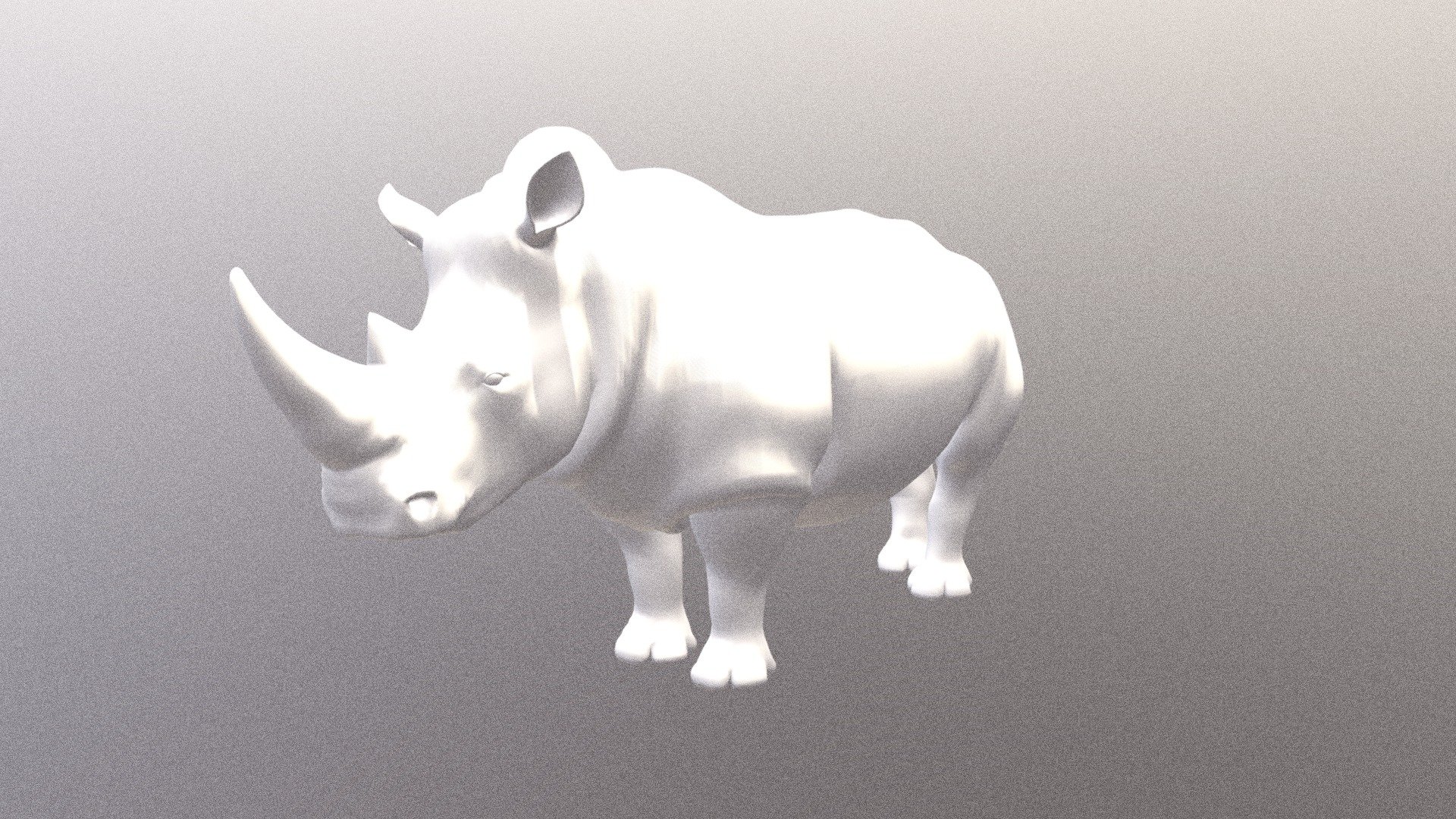 White Rhino