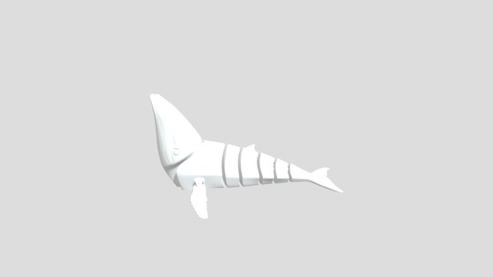 Flexi_ Humpback- Whale_v1 3D Model