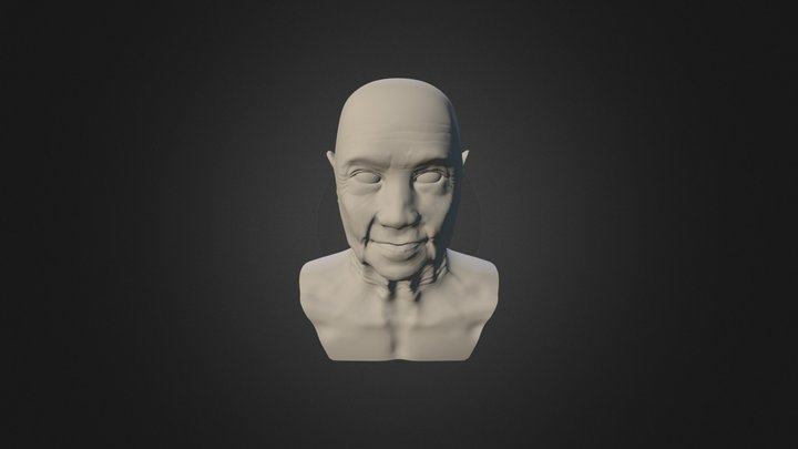 Bust - Elderly Face Anatomy Study 3D Model