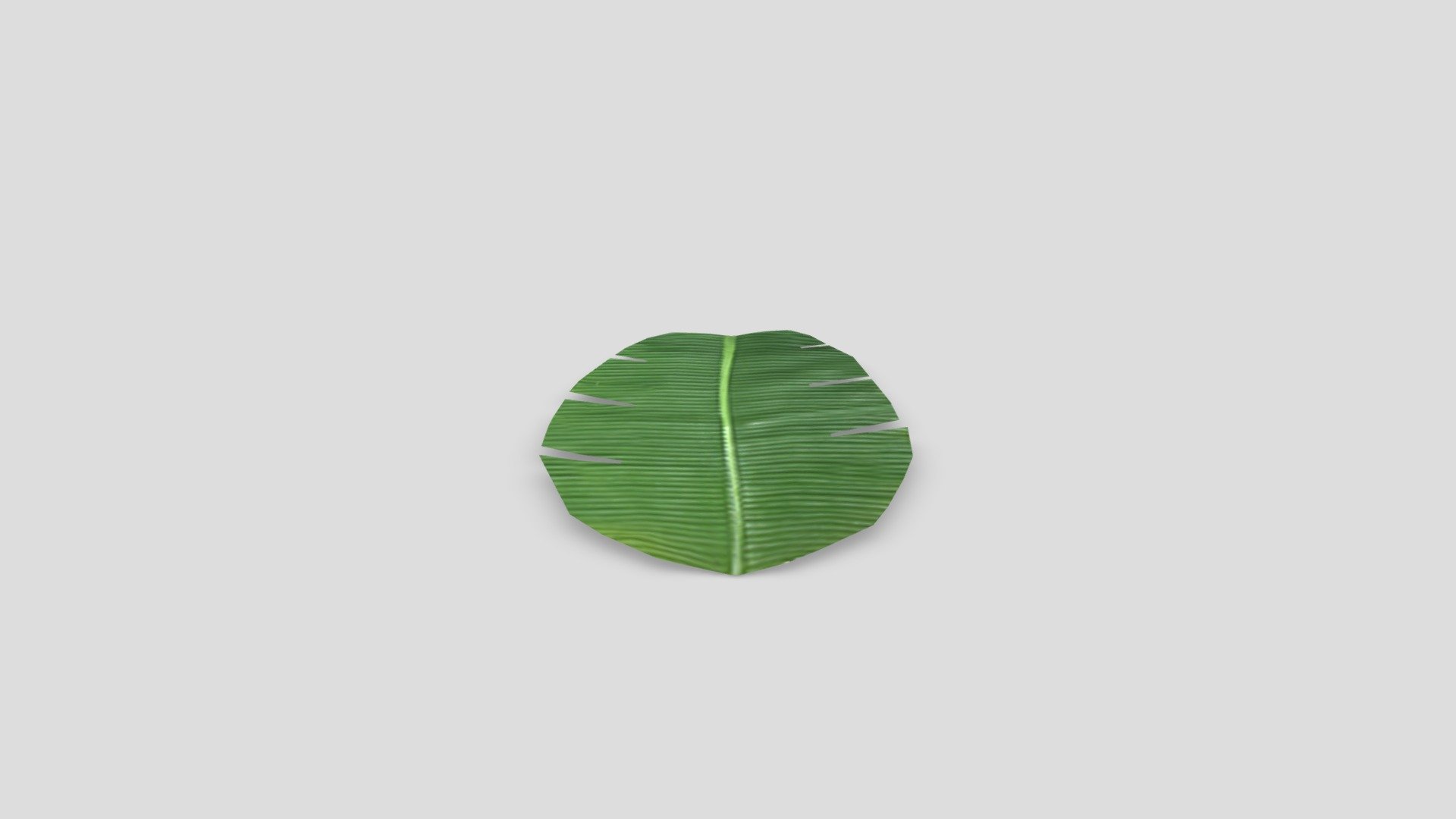 Indian Traditional Banana Leaf