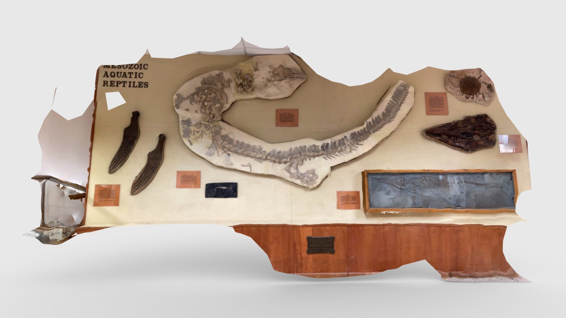 Mosasaur