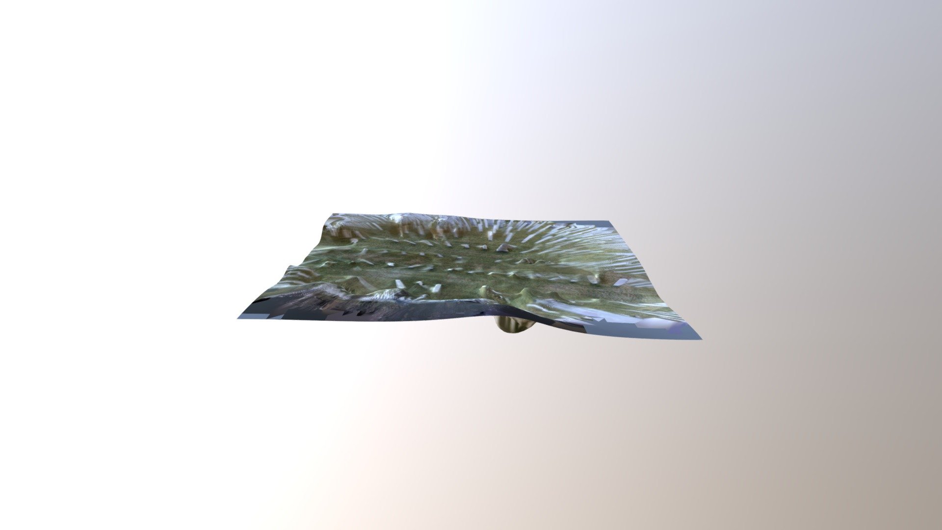 20190217_133453