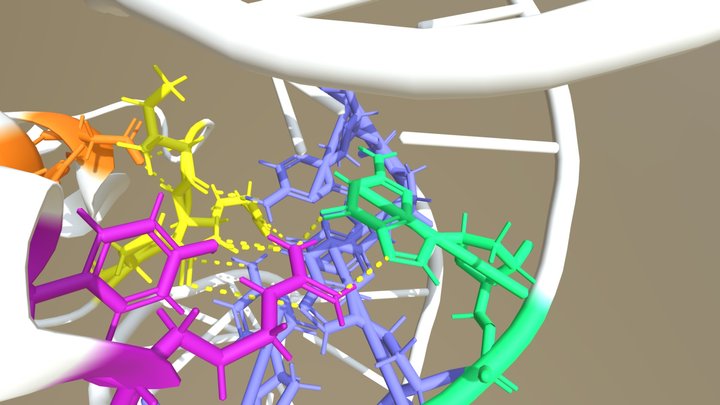 CFP1 domain CXXC binding CpG DNA motif 3D Model