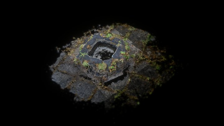 Pond 3D Model