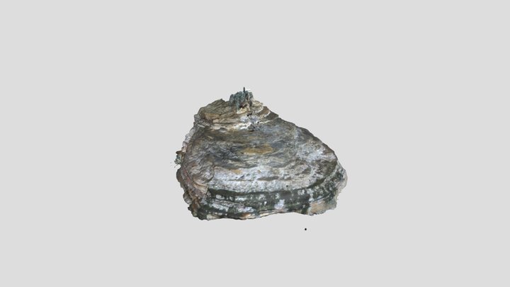 Badajo cave, Segovia. Spain 3D Model
