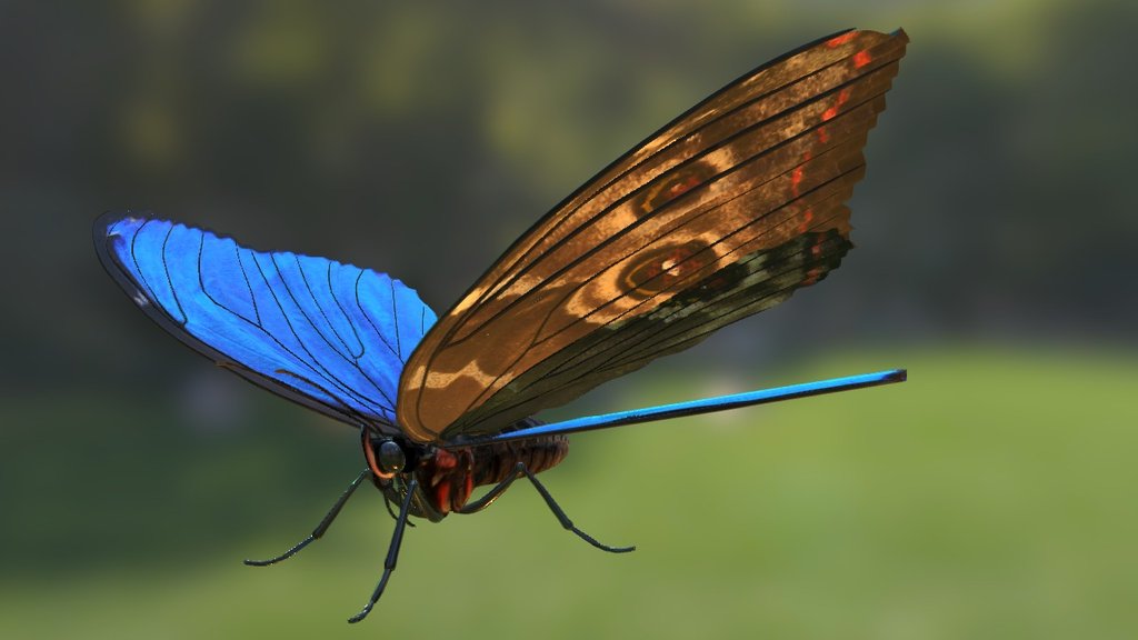 Butterfly — Sketchfab embed 3D viewer