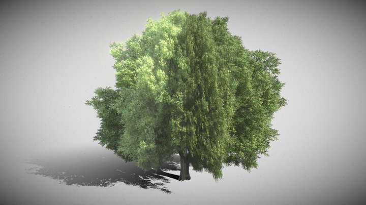 Simple Tree (Lowpoly)
