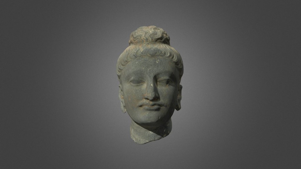 Gandharan sculpture fragments: Head of Buddha