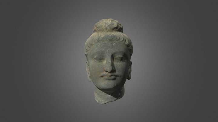 Gandharan sculpture fragments: Head of Buddha 3D Model
