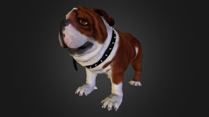 Bulldog Modeling 3D Model
