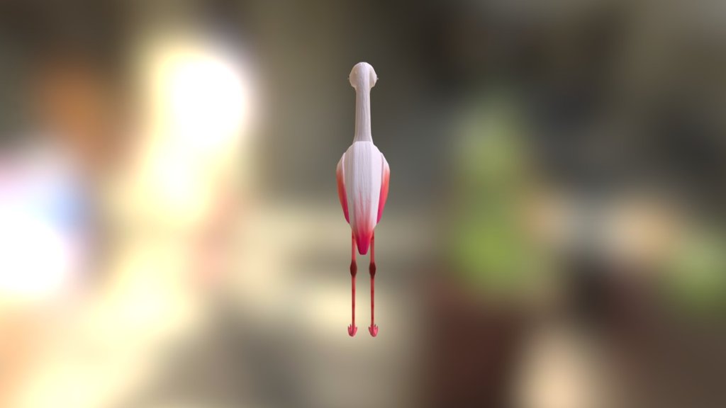 Flamingo