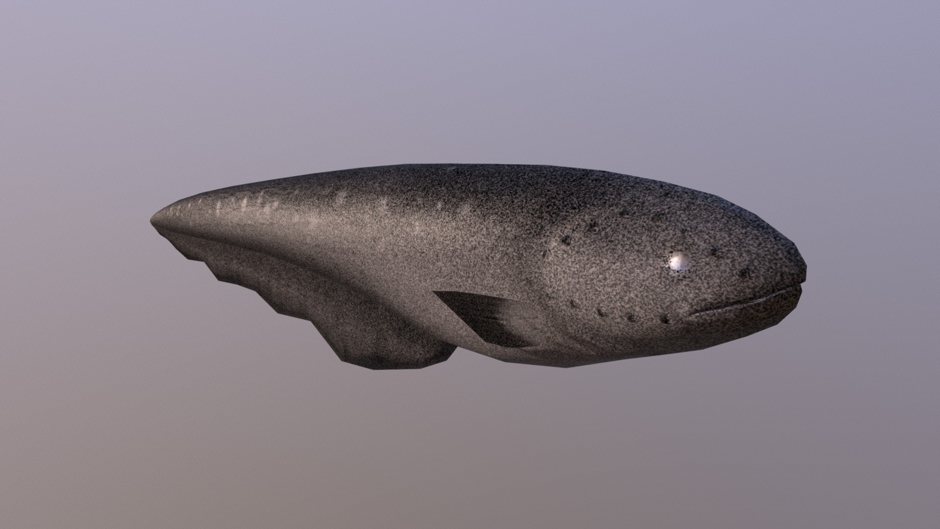 Electric Eel Buy Royalty Free 3D model by 3dlowpoly [6d541c7