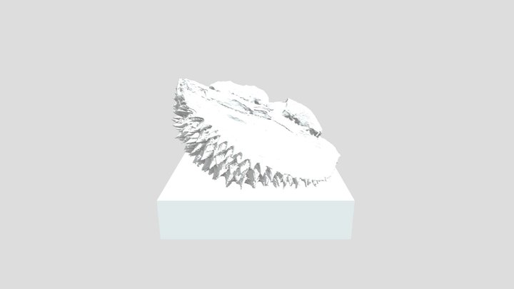 Durian Flesh 3D Model