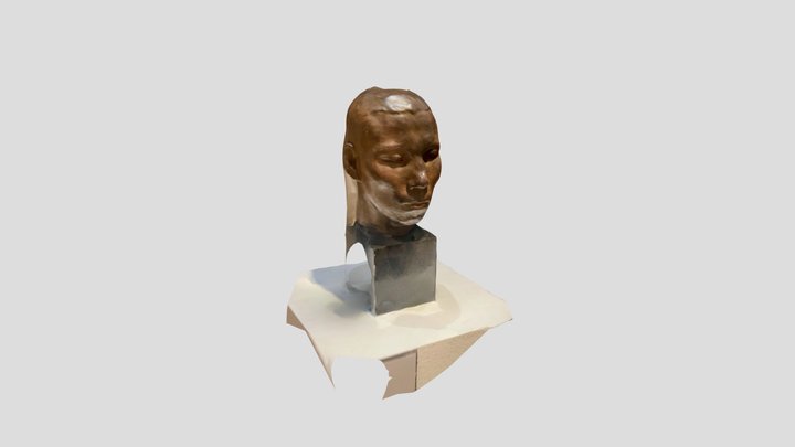 Head sculpture 3D Model