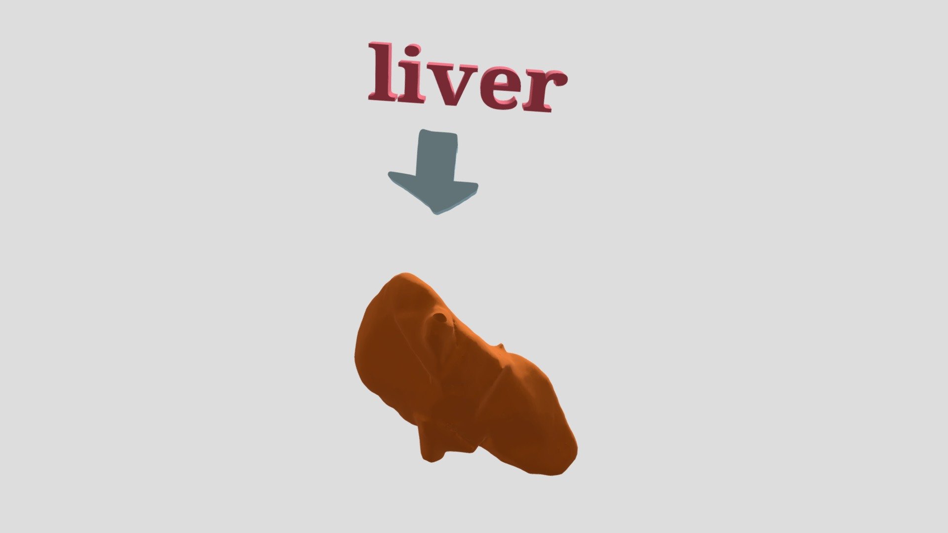 liver