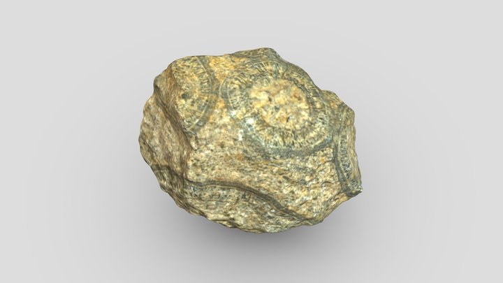 1AAQ-01-Orbicular Granite 3D Model