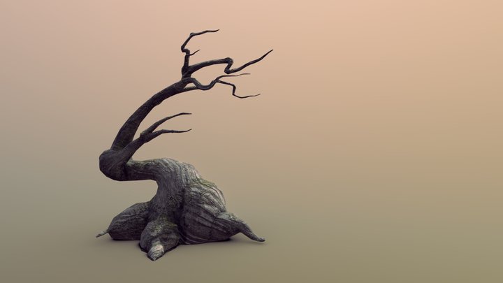 Old tree 3D Model