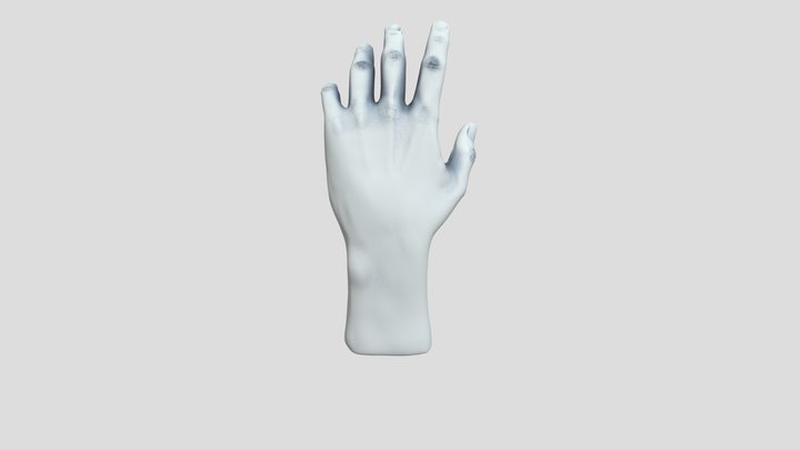 Left Hand Sculpt 3D Model