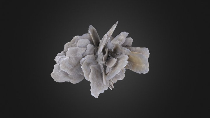 Gypsum rose, Algeria 3D Model