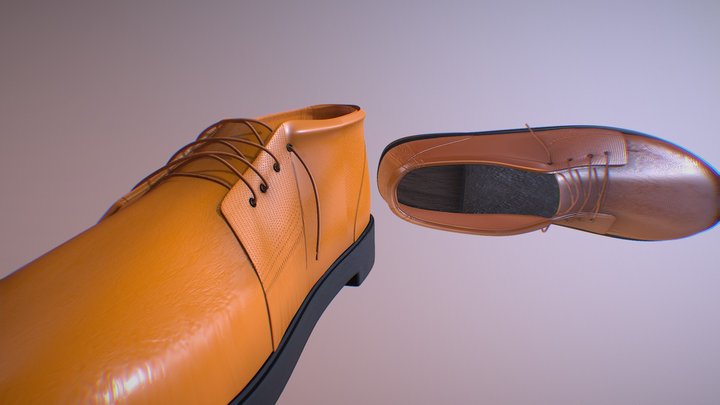 Shoes Attempt 3D Model