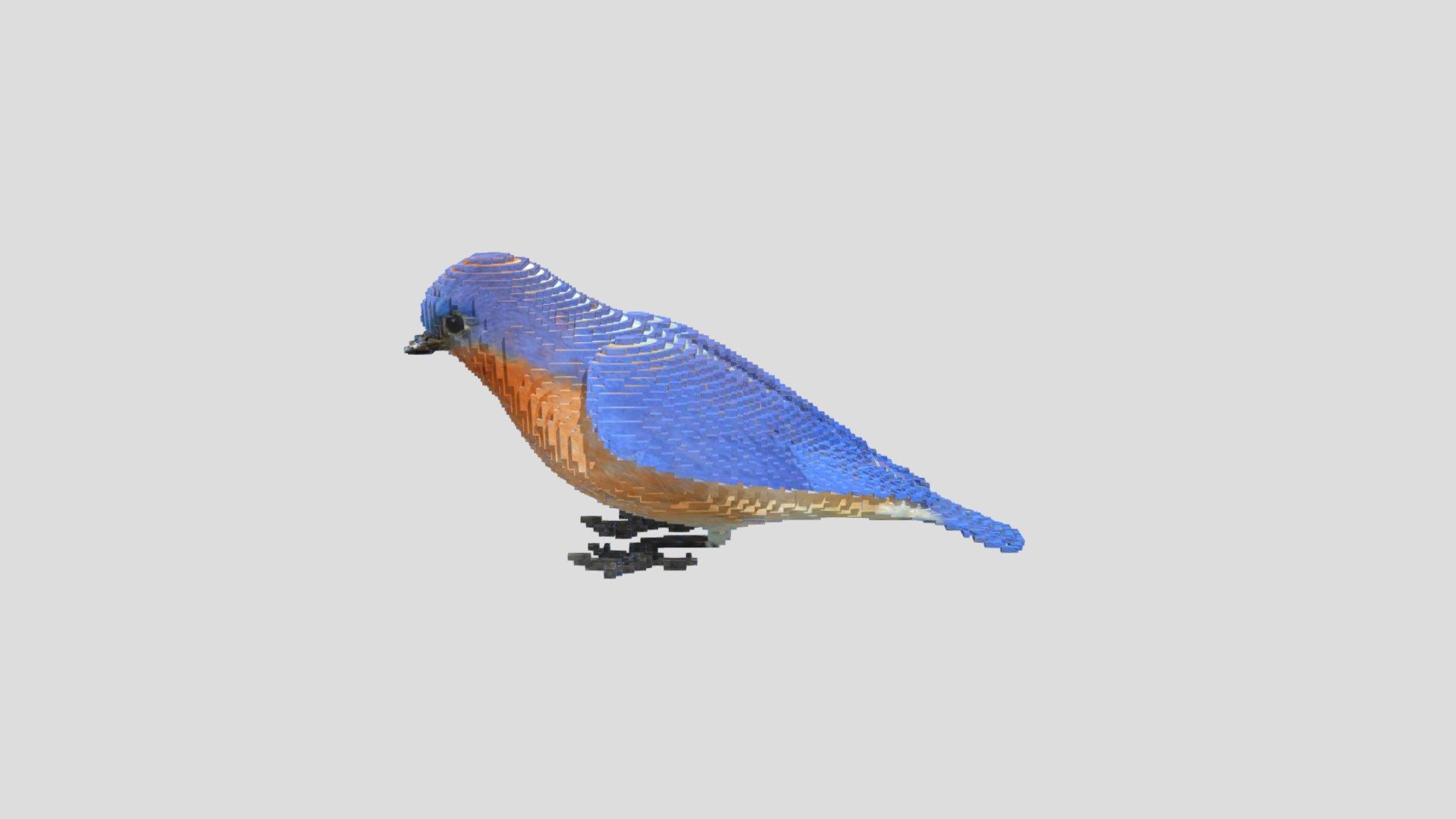 DTS4.2_CUINDA_Y1_Nine_A04_BlueBird