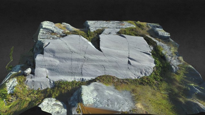 Alta Rock Art: Bergheim 4A 3D Model
