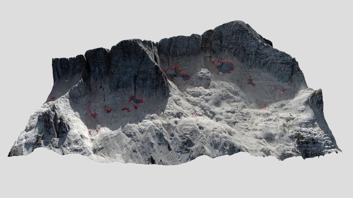 Canin Test 3D Model