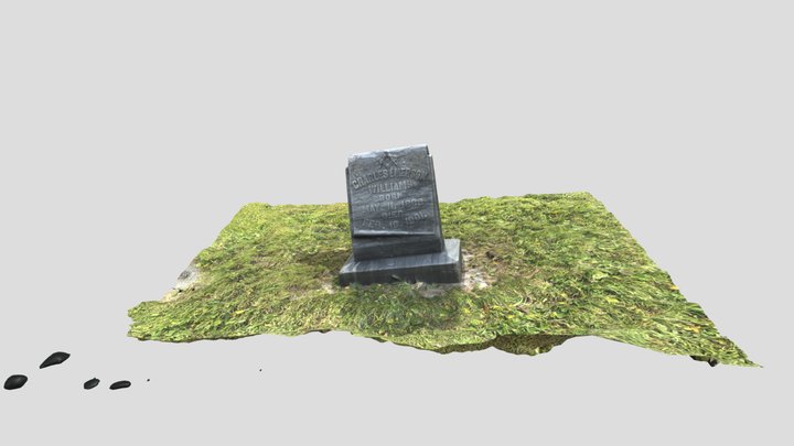 Charles Emerson Williams 3D models 3D Model