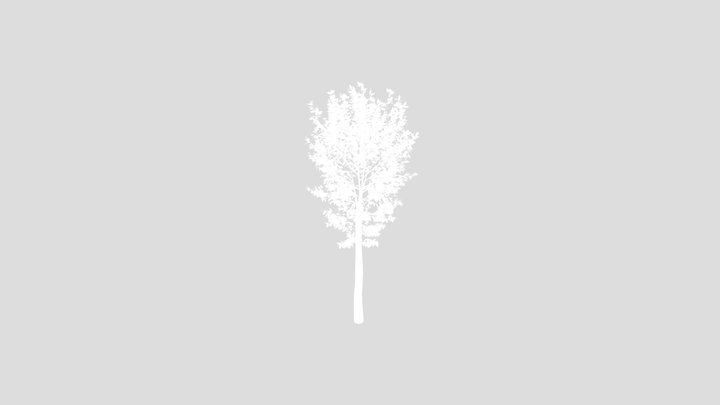 Street Tree – Modello 3D gratuito STL